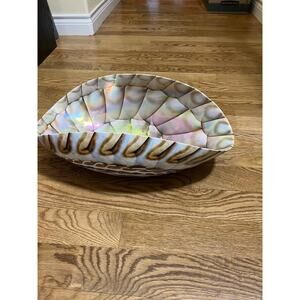 Italy Murano large glass sea shell Bowl Brown
